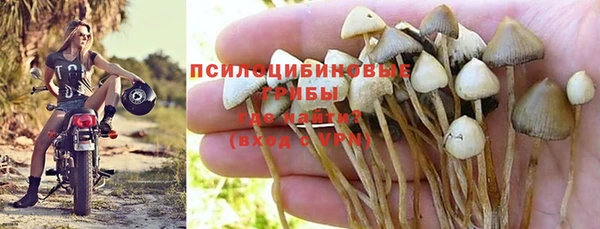 гидра Семилуки