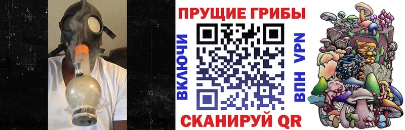 Галлюциногенные грибы Psilocybine cubensis  гидра ТОР  Зеленогорск 