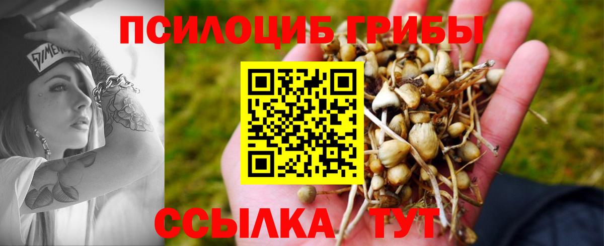 Меф мяу мяу Зеленогорск
