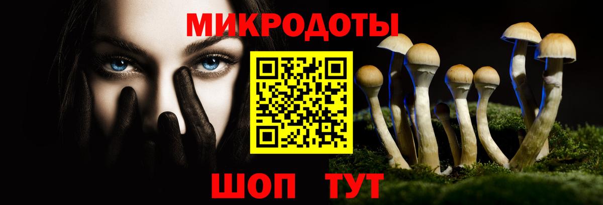 Псилоцибиновые грибы мухоморы  Псилоцибиновые грибы мухоморы  Зеленогорск  Вход с VPN 