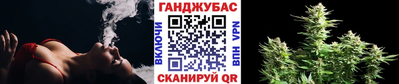 купить наркотик  Зеленогорск  Шишки марихуана SATIVA & INDICA 